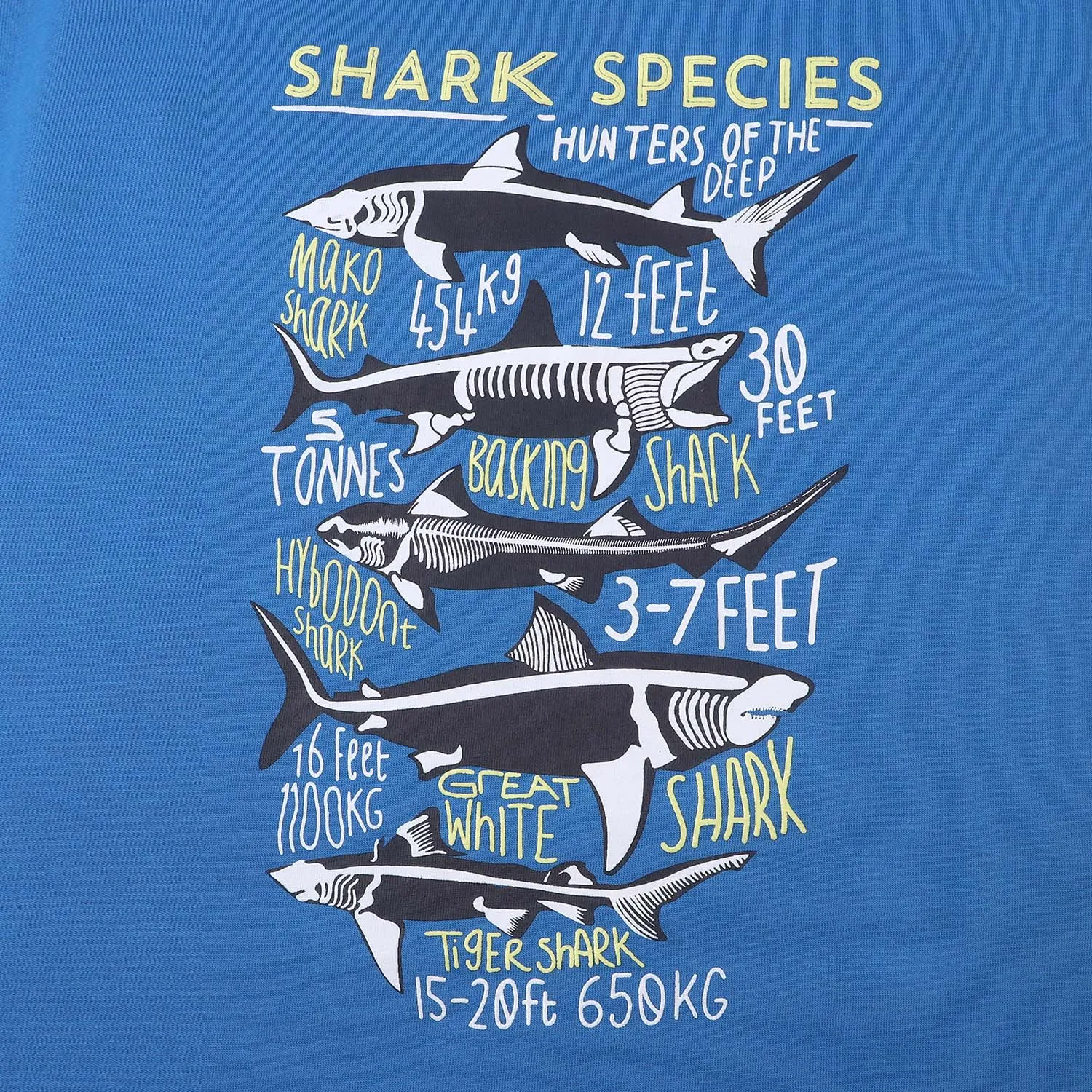 Boys Cotton T-Shirt Shark | Blue