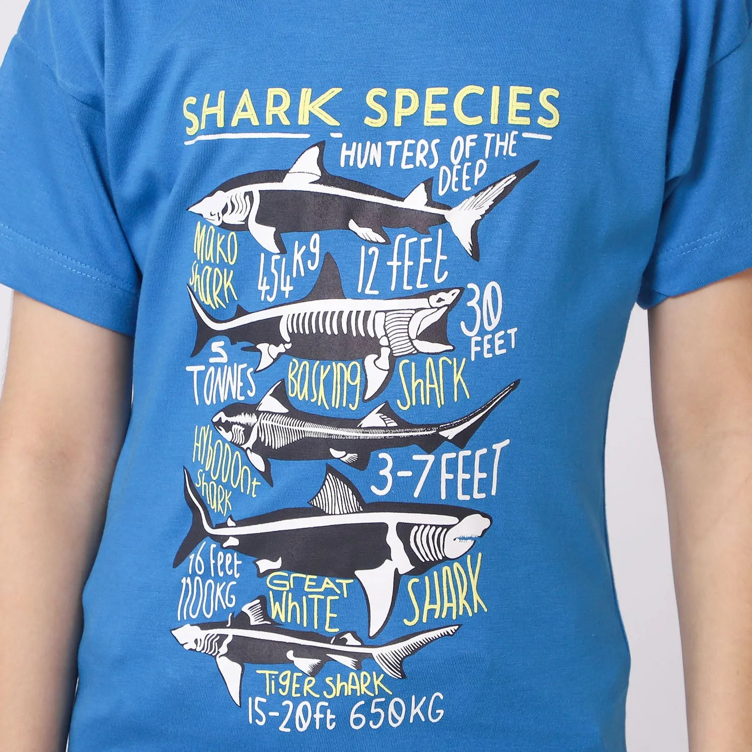 Boys Cotton T-Shirt Shark | Blue