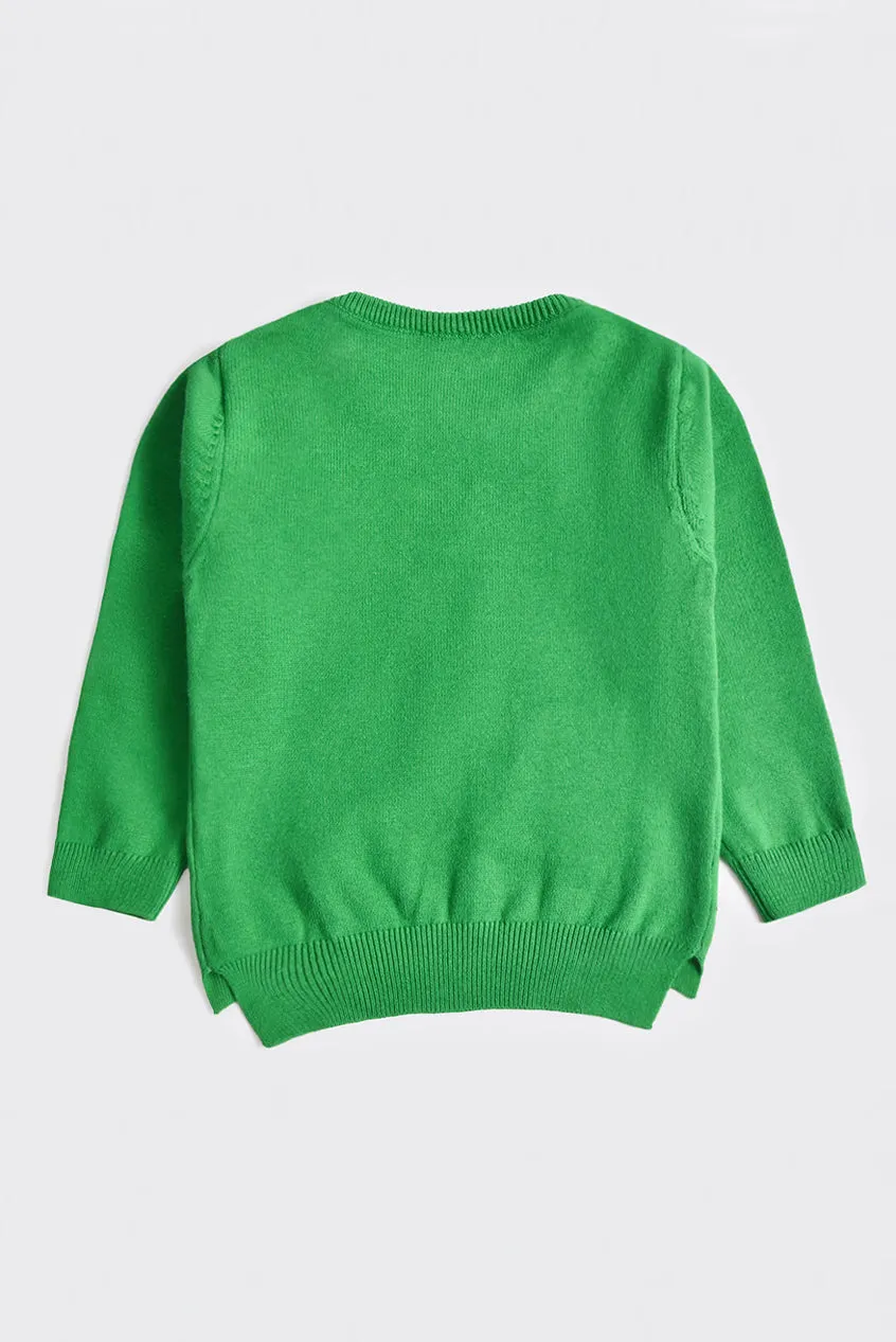 Boys Green Raglan Sweater