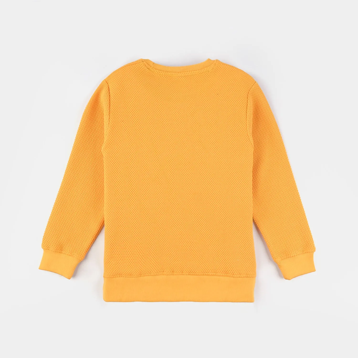 Boys Jacquard Sweatshirt Never-Citrus