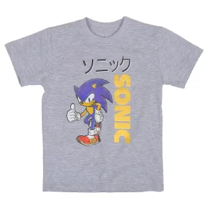 Boys T-Shirt H/S Super Character- Grey