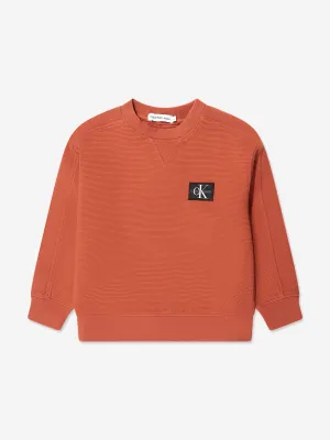 Calvin Klein Boys Ottoman Badge Sweatshirt in Auburn