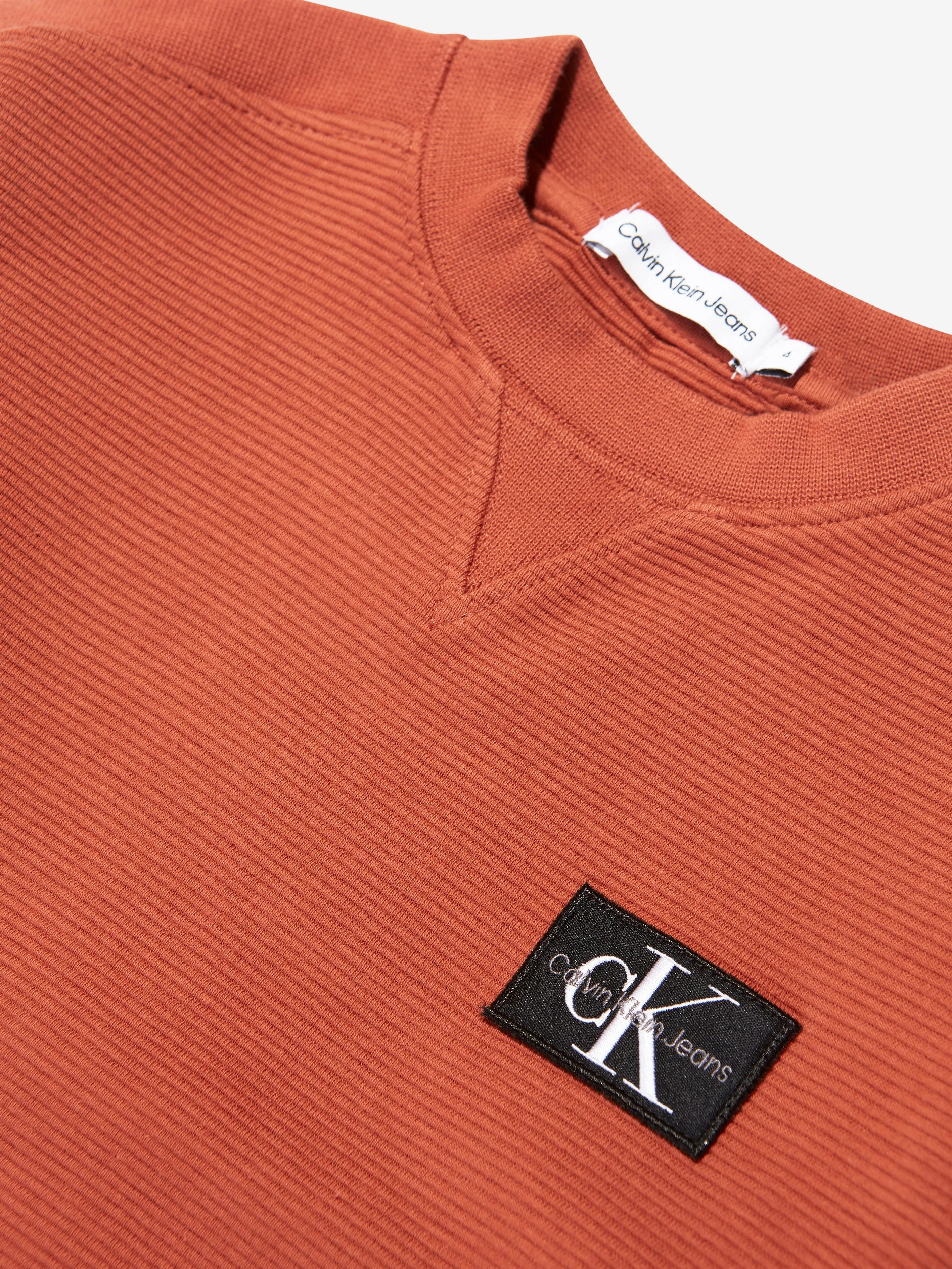 Calvin Klein Boys Ottoman Badge Sweatshirt in Auburn